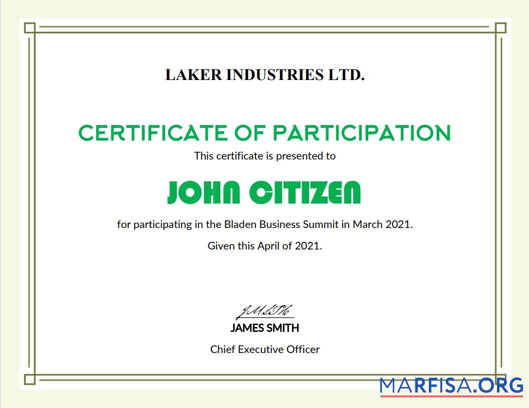 Realistic USA Modern Participation cert sample